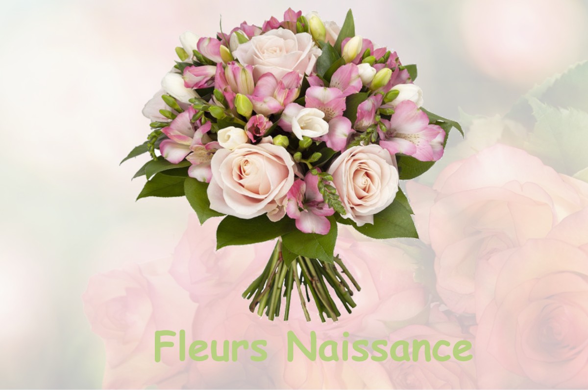 fleurs naissance LISLE-EN-BARROIS