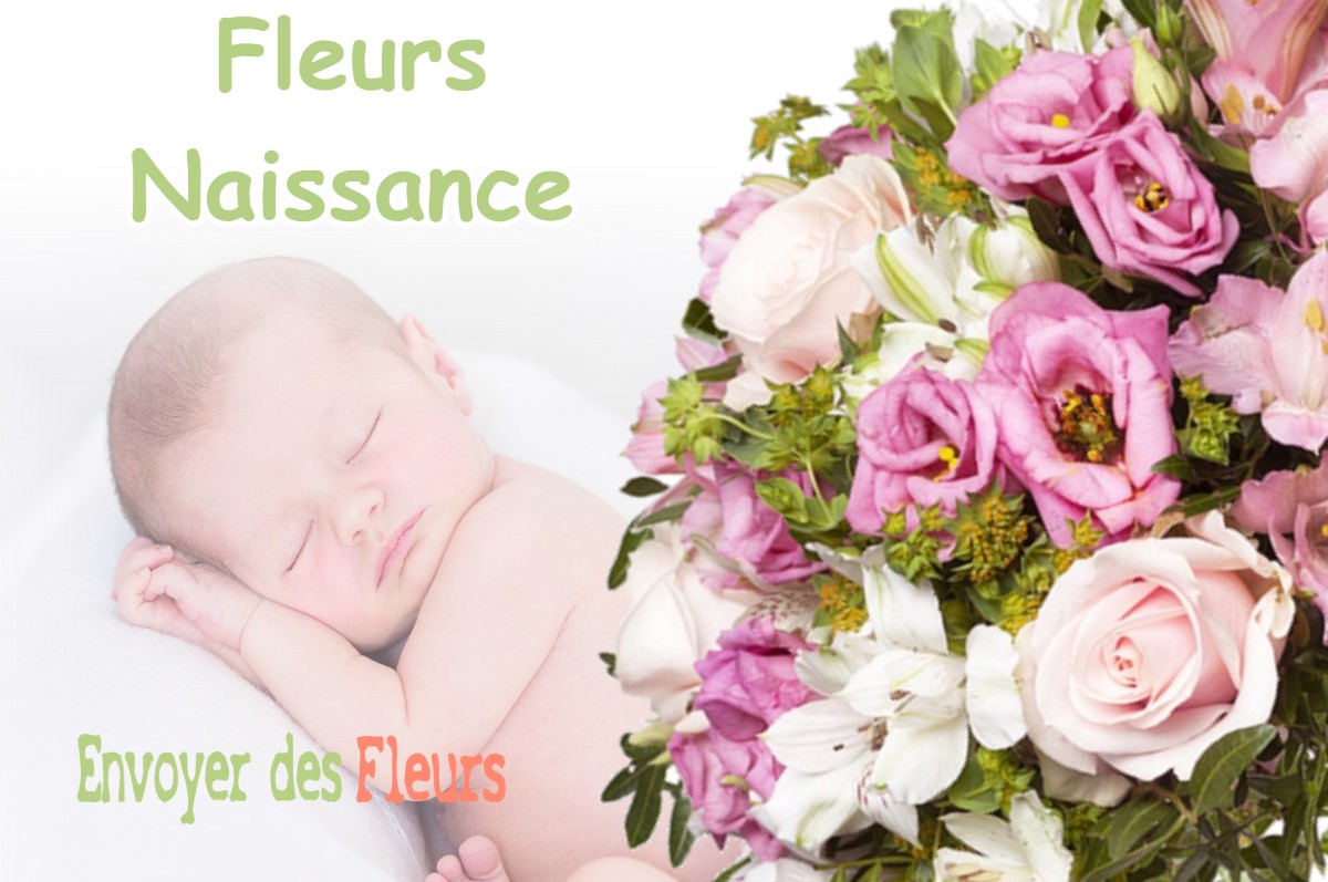 lIVRAISON FLEURS NAISSANCE à LISLE-EN-BARROIS